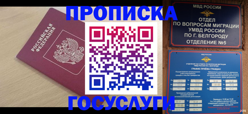 прописка законно в Шлиссельбурге